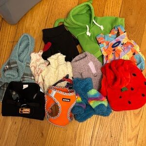 Colorful Dog Apparel Collection plus 2 harnesses